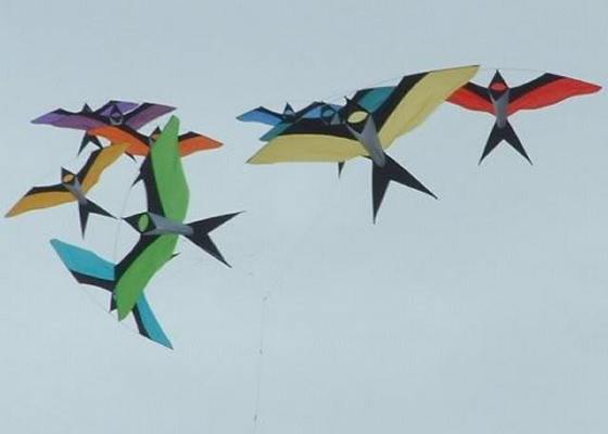 Sparred Kites